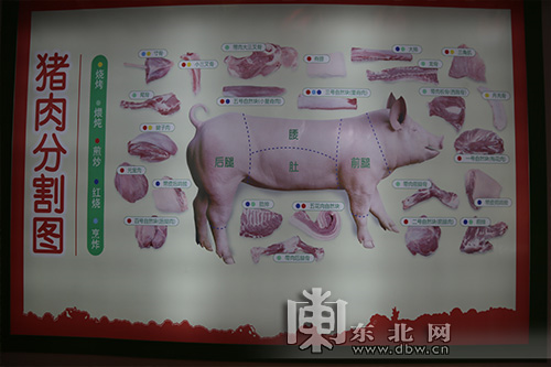 展位上“三花猪”猪肉分割图。东北网记者-王亮-摄