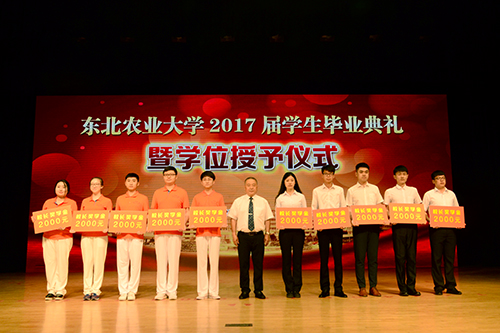 校党委书记孙登林