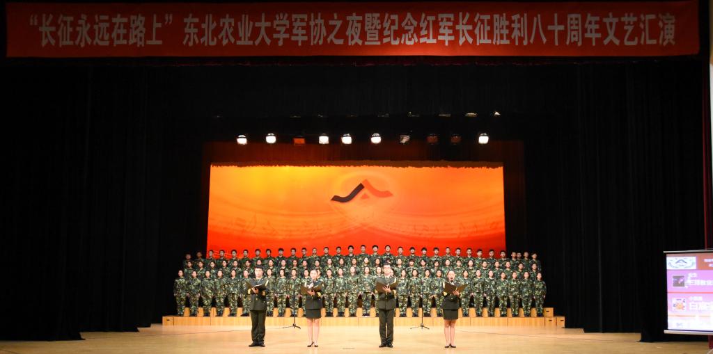 文艺汇演现场
