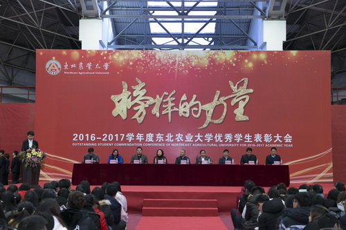 会议现场