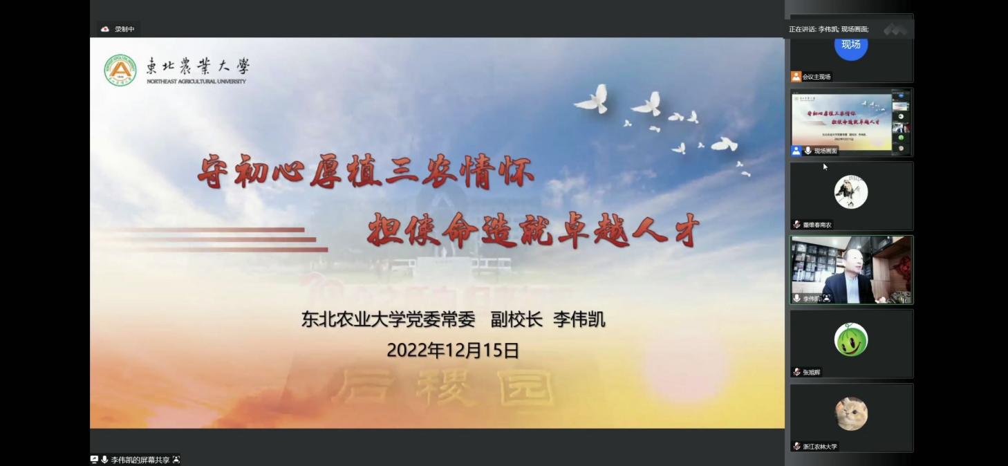 报告 报告