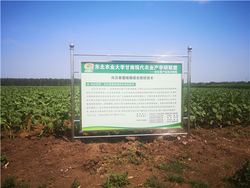 向日葵示范展示牌