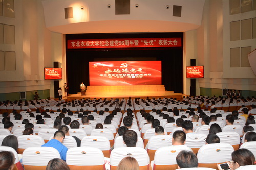 会议现场
