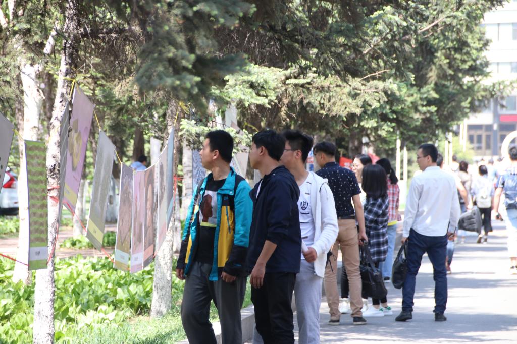 心理健康知识图片展活动现场