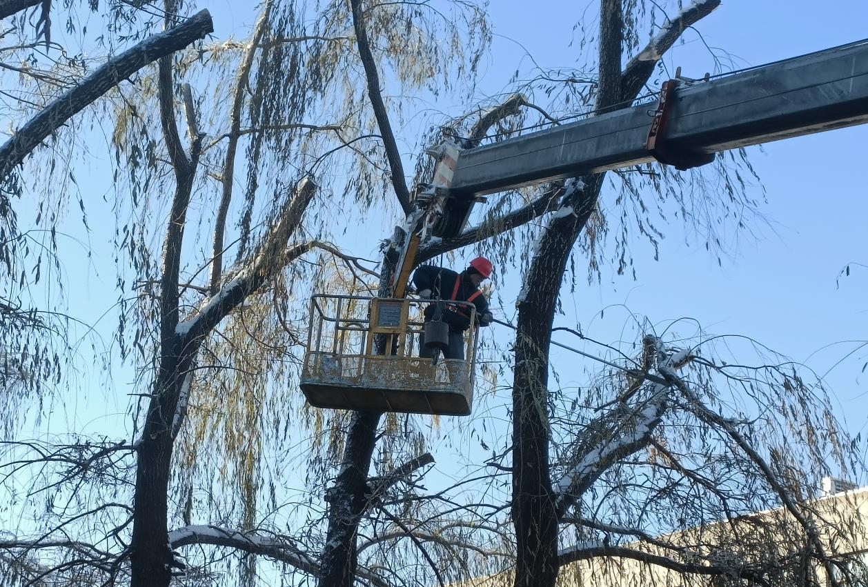 微信图片_20211112105358 微信图片_20211112105358