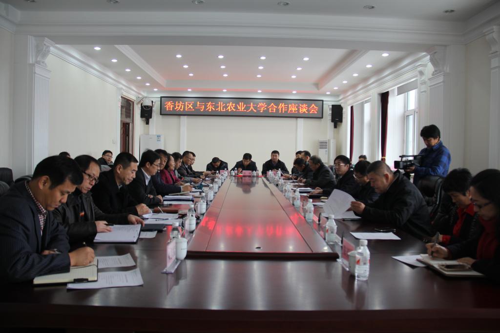 座谈会现场