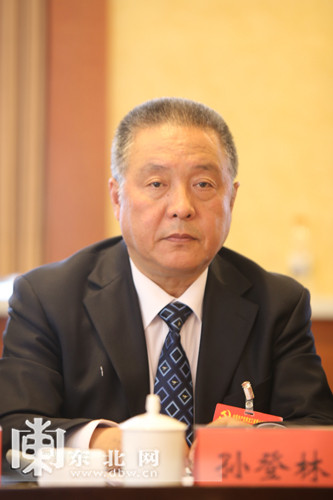 孙登林代表(东北网记者 王忠岩 摄)