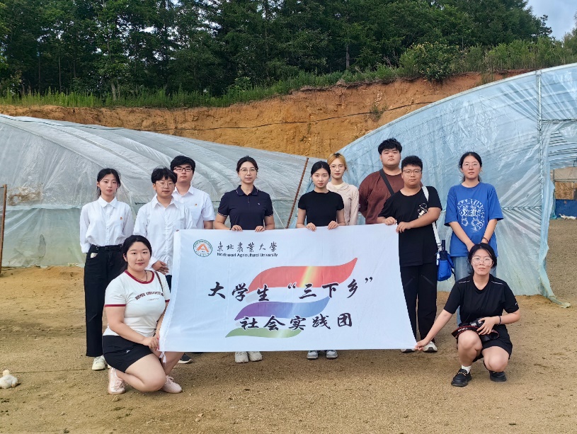 图片10.jpg