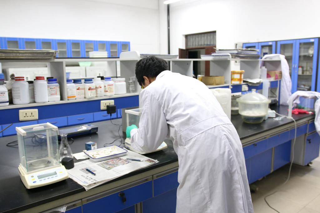 动物科学技术学院饲料化学研究室