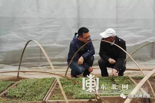 李景富教授在番茄大棚