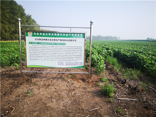 大豆示范展示牌
