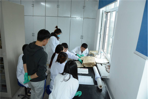 工作组对所有现存标本进行保护性抢救整理